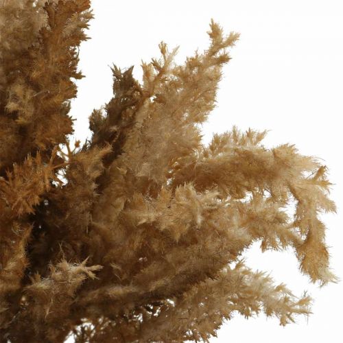 Itens Grama artificial de pampa marrom decoração seca grama ornamental 35cm 4 unidades