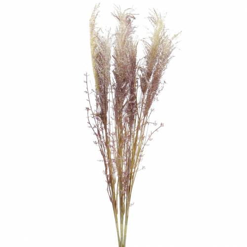 Creme de grama de pampa, violeta Flores secas artificiais 3 unidades