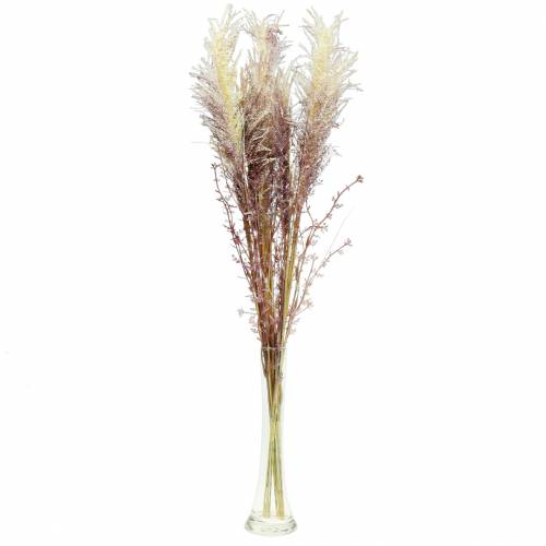 Floristik24 Creme de grama de pampa, violeta Flores secas artificiais 3 unidades