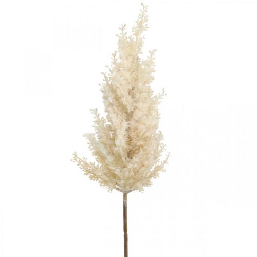 Floristik24 Grama Pampa Creme Artificial Seco Florística Deco Grama 72cm