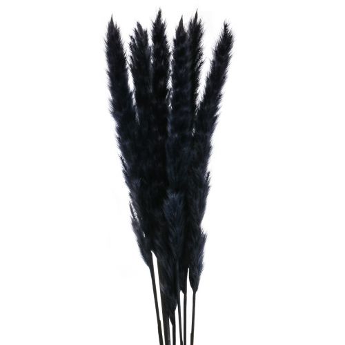 Itens Grama dos pampas preto seco decoração seca L72cm 6uds