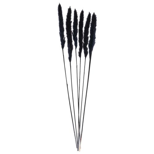 Itens Grama dos pampas decoração seca preta C 72 cm 6 un