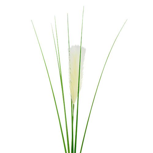 Floristik24 Folhagem de grama dos pampas verde creme H100cm