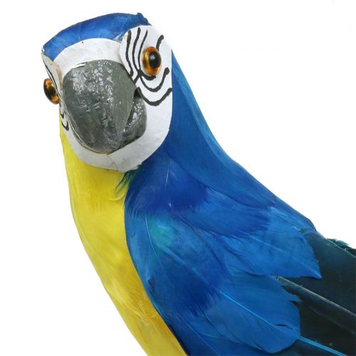 Floristik24 Papagaio decorativo azul 44cm