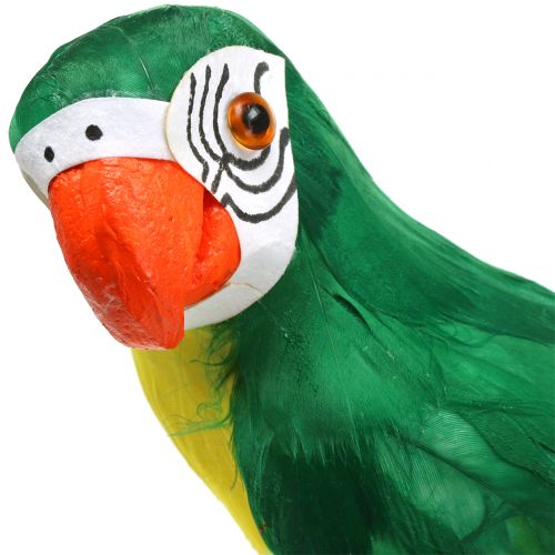 Floristik24 Papagaio decorativo verde 44cm