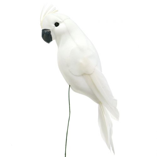 Floristik24 Papagaios com penas brancas Cacatua artificial pássaro decorativo 4 unidades