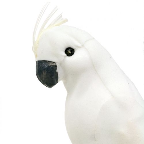 Itens Papagaios com penas brancas Cacatua artificial pássaro decorativo 4 unidades