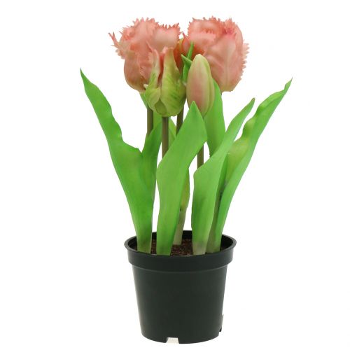 Floristik24 Papagaio tulipa Real-Touch em um vaso rosa 23cm