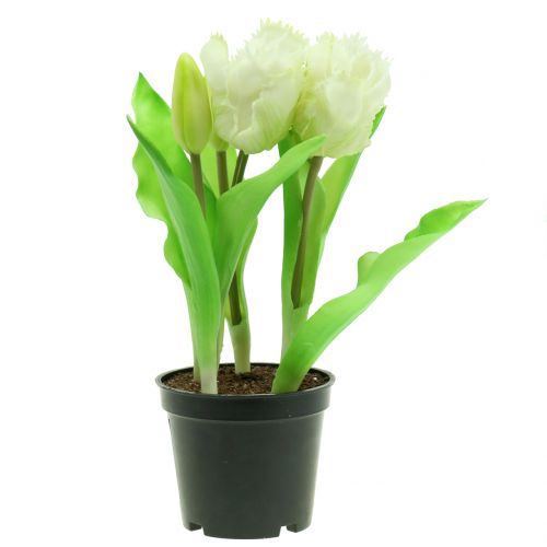 Floristik24 Tulipa papagaio em um vaso branco Real-Touch 23cm