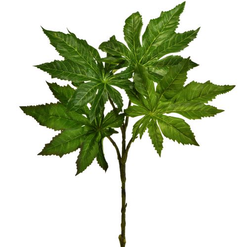 Floristik24 Folhas de mamão ramo de deco artificial planta artificial verde 40cm