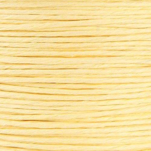 Itens Fio de papel enrolado Ø2mm 100m champanhe