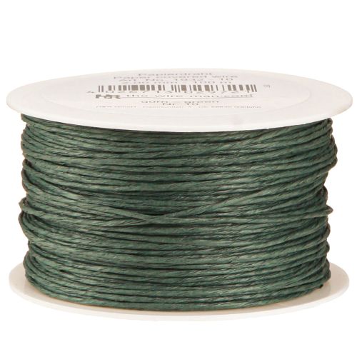 Floristik24 Fio de papel enrolado Ø2mm 100m Verde