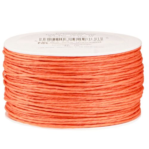 Floristik24 Fio de papel enrolado Ø2mm 100m Laranja
