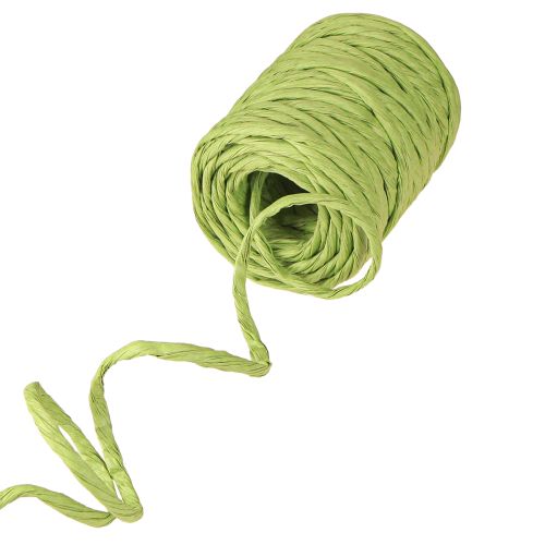 Itens Cordão de papel verde decorativo sem fio largura 6mm 23m
