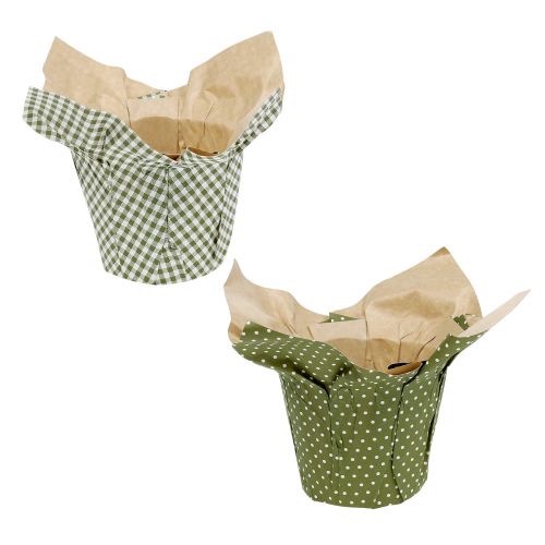 Floristik24 Pote de papel com padrão verde-branco Ø9,5cm 12 un