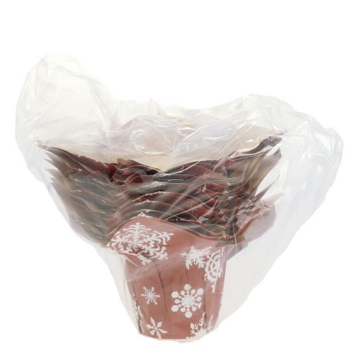Floristik24 Potes de papel com flocos de neve vermelho, branco Ø7cm 12uds