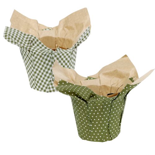 Floristik24 Cachepot de papel estampado verde-branco Ø11,5cm 8pcs