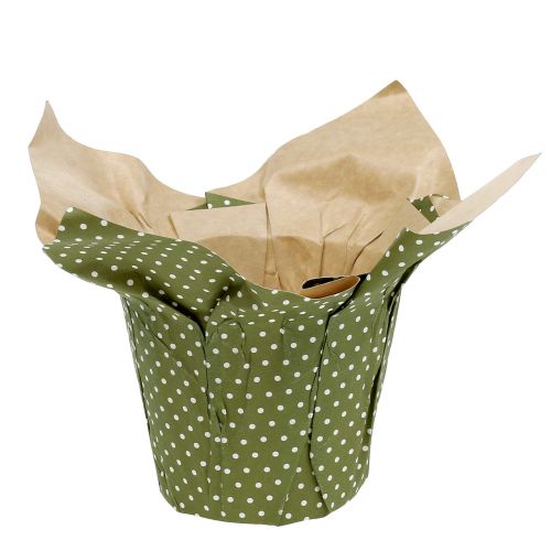 Floristik24 Cachepot de papel estampado verde-branco Ø11,5cm 8pcs