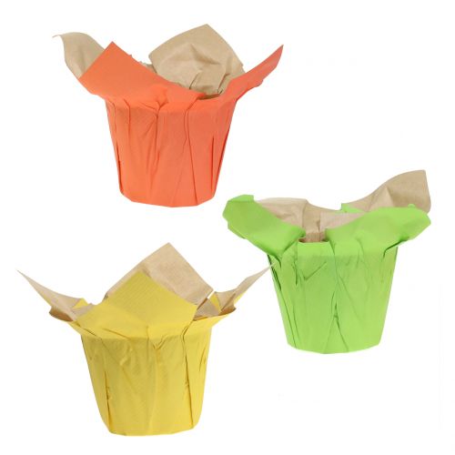 Floristik24 Potes de papel verde, laranja, amarelo Ø10cm 12pcs