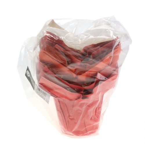 Floristik24 Vaso de papel laranja / vermelho Ø8cm 12 unidades