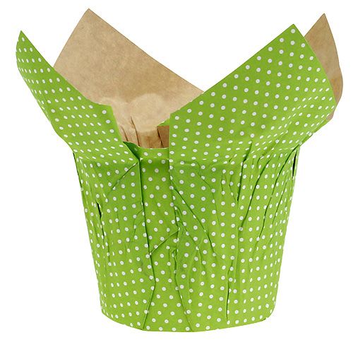 Floristik24 Pote de papel Ø10cm Alt.8cm verde 8 unidades