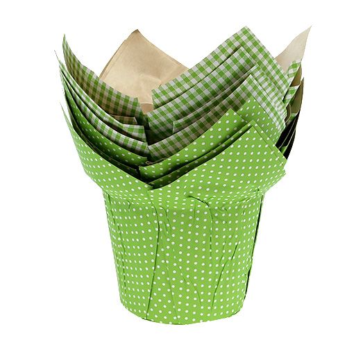 Floristik24 Pote de papel Ø12cm Alt.9cm cuzão verde. 8pcs