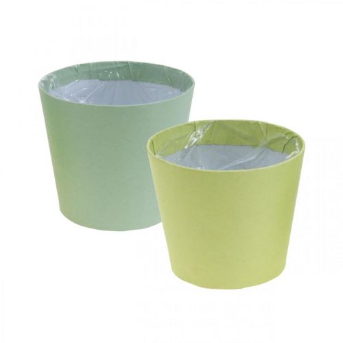 Floristik24 Pote de papel, mini vaso de plantas, cachepot azul/verde Ø9cm H7.5cm 4pcs