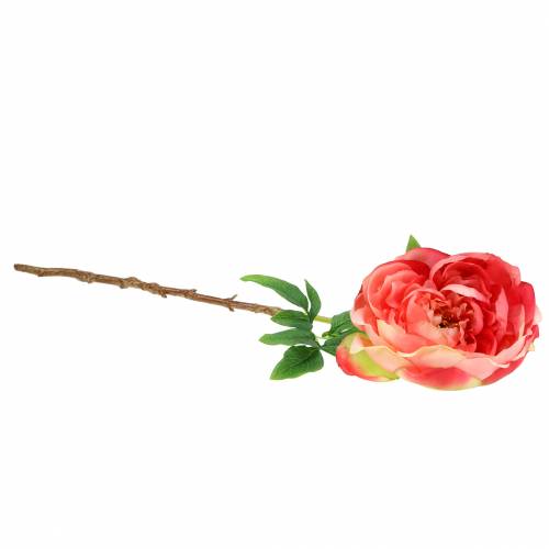 Floristik24 Peônia Rosa 59 cm