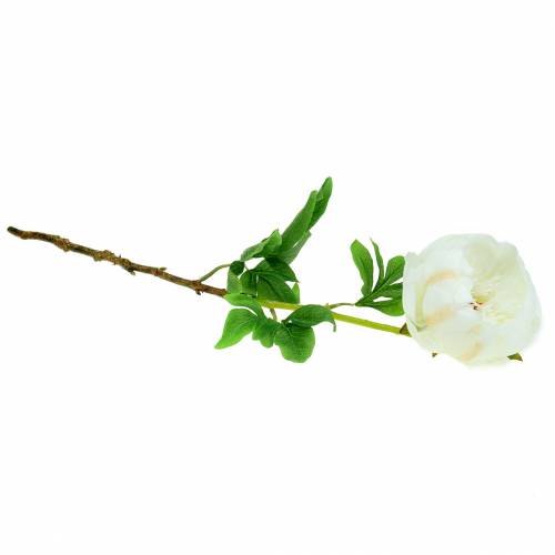 Floristik24 Peônia branca 59cm