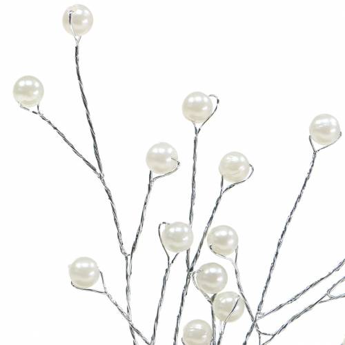 Floristik24 Ramo de pérola champanhe C18cm 2 un