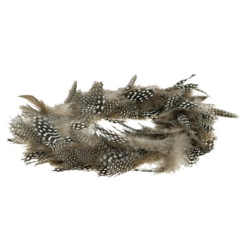 Floristik24 Coroa de penas galinha-d&#39;angola Ø16cm