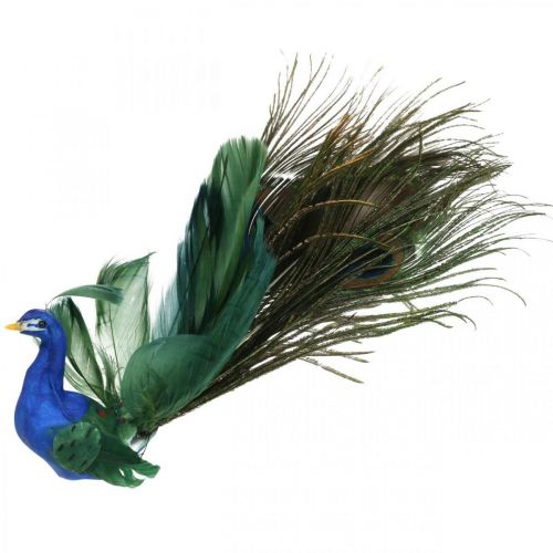 Floristik24 Ave do paraíso, pavão para pinça, pássaro de penas, decoração de pássaros azul, verde, colorido H8,5 L29cm