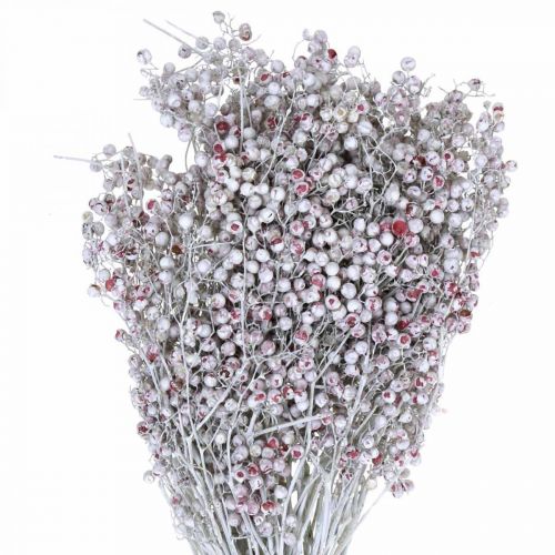 Floristik24 Bagas de pimenta nevada, decoração de inverno, flores secas, Advento, pimenta rosa lavada branca 170g