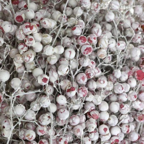 Floristik24 Bagas de pimenta nevada, decoração de inverno, flores secas, Advento, pimenta rosa lavada branca 170g