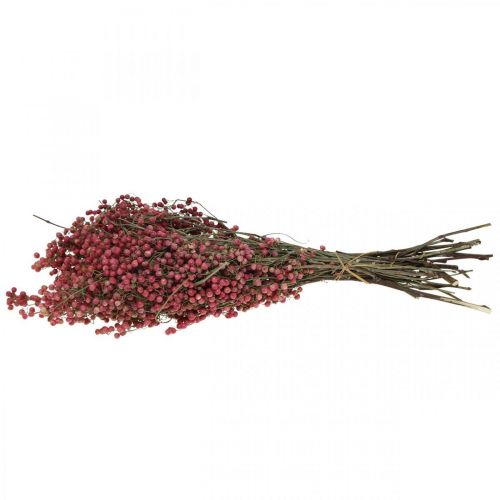 Floristik24 Bagas de pimenta, flores secas, Advento, pimenta rosa, decorações de inverno L40-45cm 200g