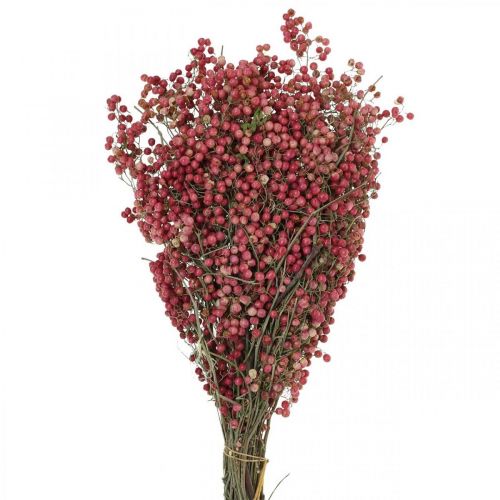 Floristik24 Bagas de pimenta, flores secas, Advento, pimenta rosa, decorações de inverno L40-45cm 200g