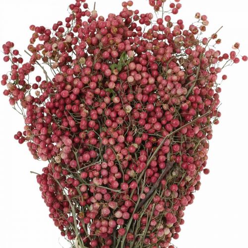 Floristik24 Bagas de pimenta, flores secas, Advento, pimenta rosa, decorações de inverno L40-45cm 200g