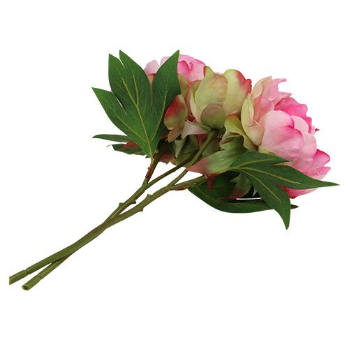 Floristik24 Peônias com botão rosa L30cm 2pcs