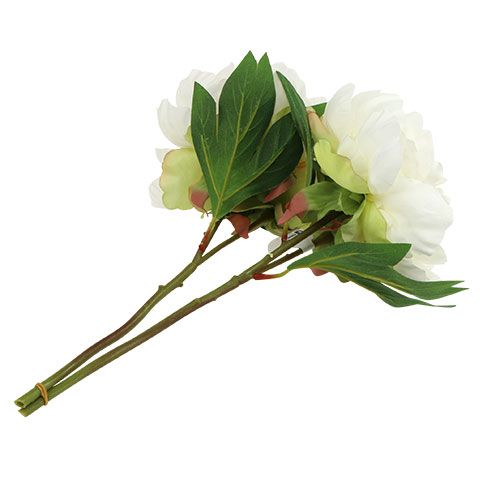 Floristik24 Peônias com botão branco L30cm 2pçs