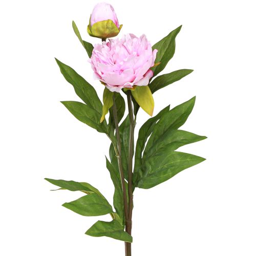 Floristik24 Flores artificiais de peônia rosa com haste longa 70 cm 3 unidades