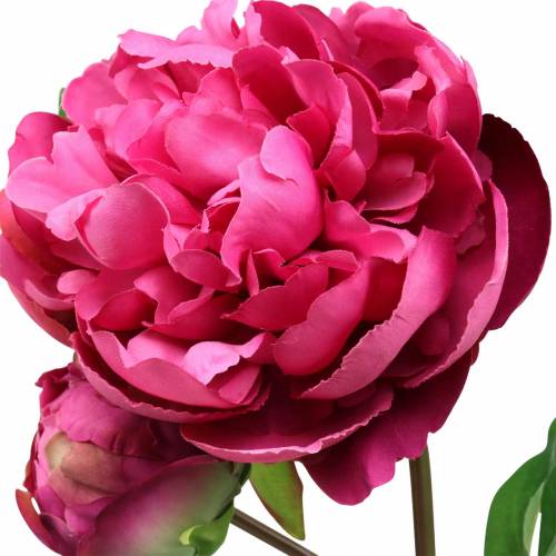 Floristik24 Flor artificial peônia com flor e botão roxo magenta 68cm
