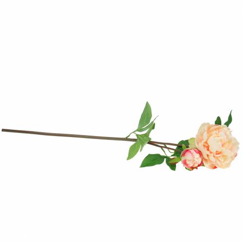 Floristik24 Peônia com flor e botão de pêssego artificial 70cm