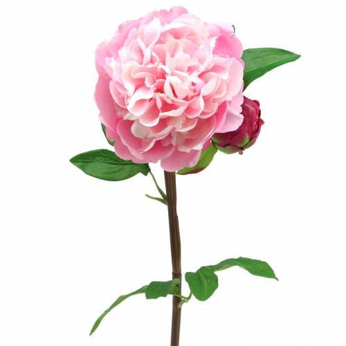 Floristik24 Flor artificial de peônia com flor e botão rosa 68 cm