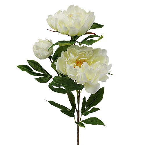 Floristik24 Peônia flores artificiais creme L70cm