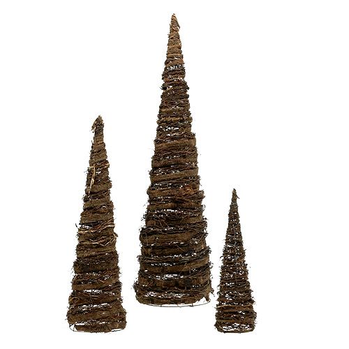 Floristik24 Conjunto natural de cones de plantas de 3 40x10 / 60x15 / 80x20cm