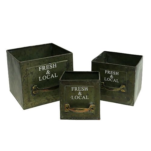 Floristik24 Conjunto de chapas de gaveta de plantio de 3 verdes antigos