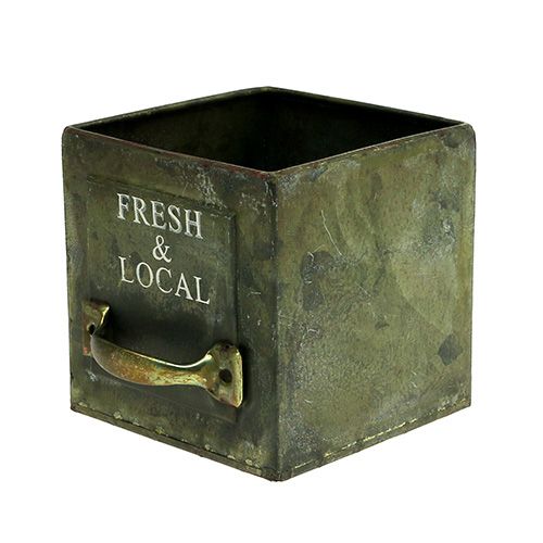 Floristik24 Conjunto de chapas de gaveta de plantio de 3 verdes antigos