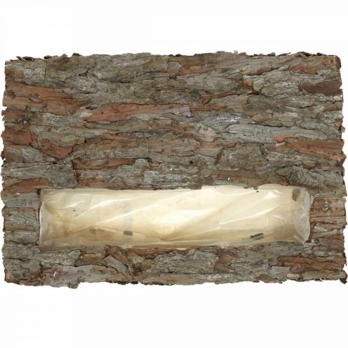 Itens Porta-copos decorativo com planta em casca de pinheiro 45×30cm H6cm