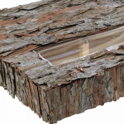 Itens Porta-copos decorativo com planta em casca de pinheiro 45×30cm H6cm