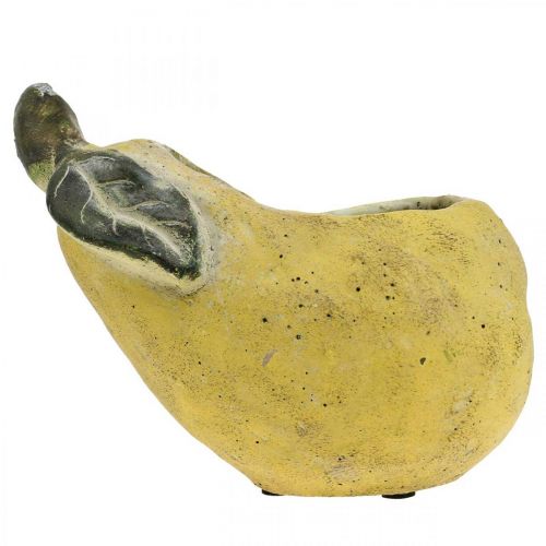 Itens Pêra para plantar, decoração de outono, vaso de concreto L19cm A15,5cm